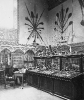 H.P. Blackmore in his museum [Copyright S&SWM] 