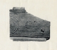 L1418 Photograph of 'tegula'  copyright S&SWM PR papers