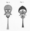 Figures 5 & 6 of Evolution of Culture Plate IV