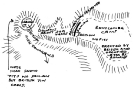 Illustration from letter marked with no date or address