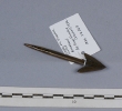 Arrowhead, City of London 1884.118.248