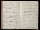 Pages from one of the Pitt Rivers accession registers, PRM Oxford