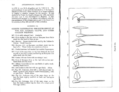 Plate 11 1877 catalogue