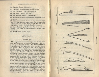 Plate 12 1877 catalogue