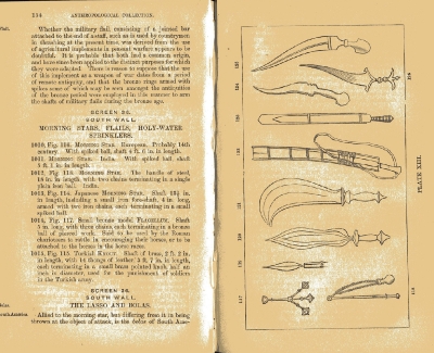 Plate 13 1877 catalogue