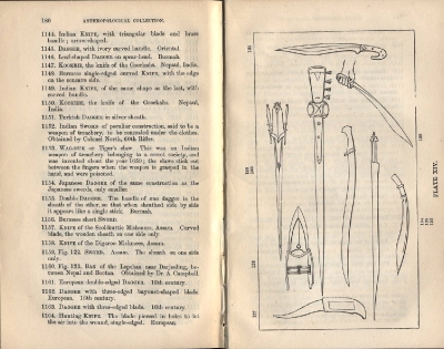 Plate 14 1877 catalogue
