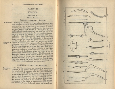 Plate 1 1877 Catalogue