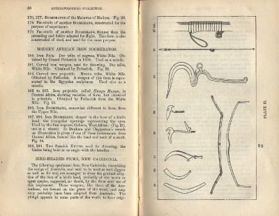 Plate 2 1877 catalogue