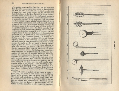 Plate 4 1877 catalogue