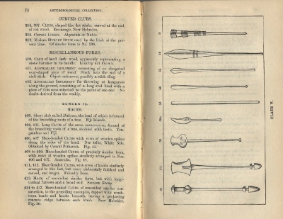 Plate 5 1877 catalogue