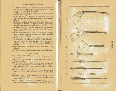 Plate 6 1877 catalogue