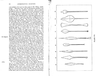 Plate 7 1877 catalogue