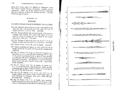 Plate 8 1877 catalogue