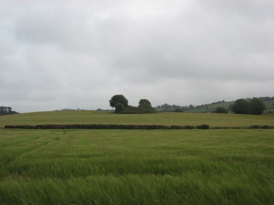 Kilcrea Ring fort http://www.flickr.com/photos/itallian_chauffeur/6271480422/