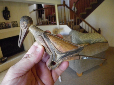 New Guinea bird, thanks to Tom Wroble for permission to put this image on the site