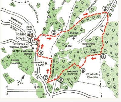 Map of Rushmore estate taken from AA map given at http://www.theaa.com/walks/tollard-royal-and-gener