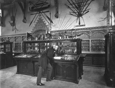 Blackmore Museum, from Society of Antiquares 'Making History...Wiltshire' website [copyright S&SWM]