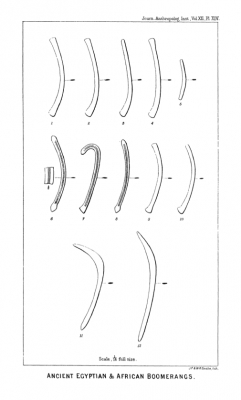 Plate from Pitt-Rivers' 1883 article on boomerangs in the Journal of the Anthropological Institute
