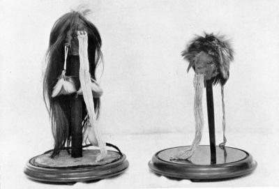 Tsantas, (Plate XIII, 'The Pitt-Rivers Museum, Farnham')
