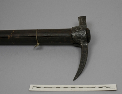 European Martel de fer 1884.21.54