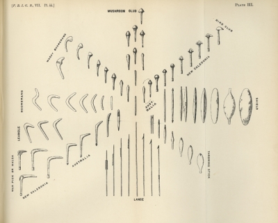Plate III, Evolution of Culture