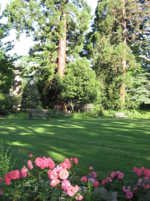 Summer in the garden, Uplands